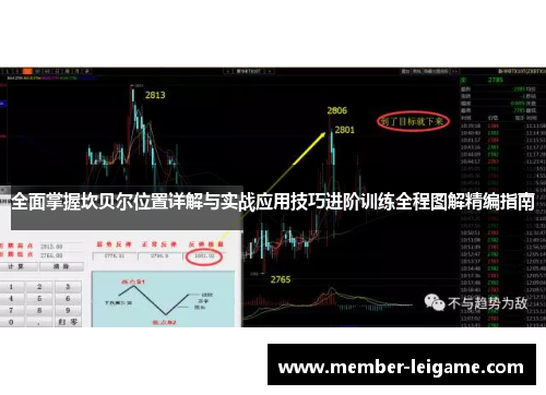 全面掌握坎贝尔位置详解与实战应用技巧进阶训练全程图解精编指南 全面掌握坎贝尔位置详解与实战应用技巧进阶训练全程图解精编指南