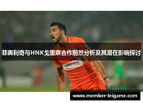 菲奥利奇与HNK戈里察合作前景分析及其潜在影响探讨