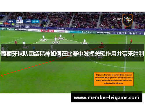 葡萄牙球队团结精神如何在比赛中发挥关键作用并带来胜利 葡萄牙球队团结精神如何在比赛中发挥关键作用并带来胜利