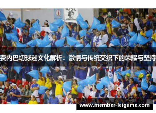 费内巴切球迷文化解析:激情与传统交织下的荣耀与坚持 费内巴切球迷文化解析:激情与传统交织下的荣耀与坚持
